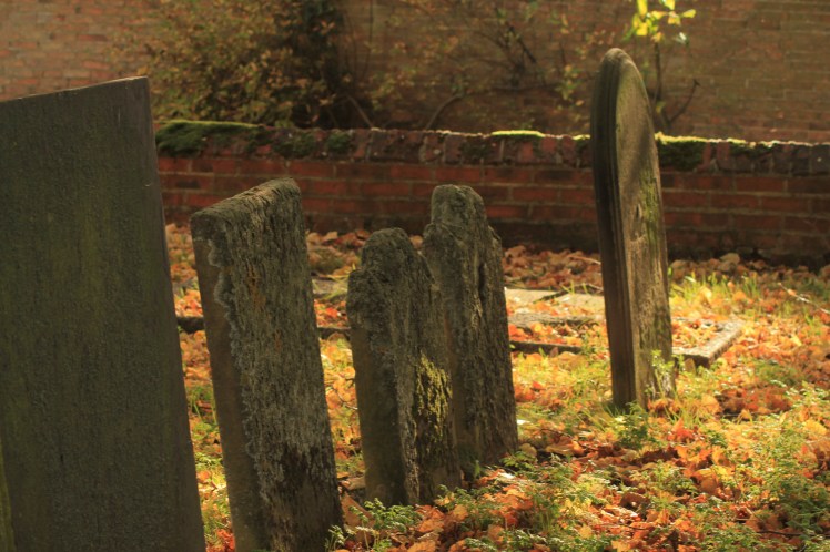 autumn walk and v 4 pics 832