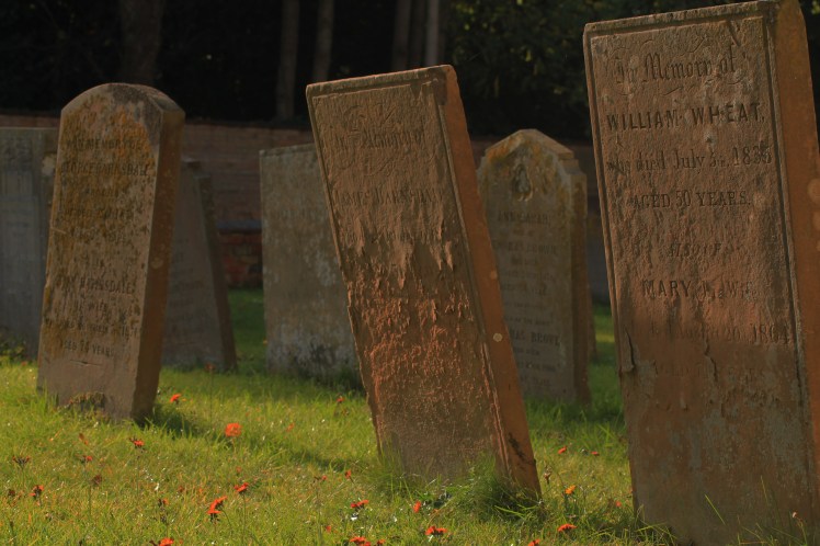 Secrets of the Grave