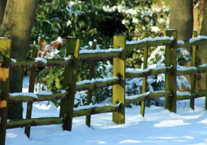 snowy fence