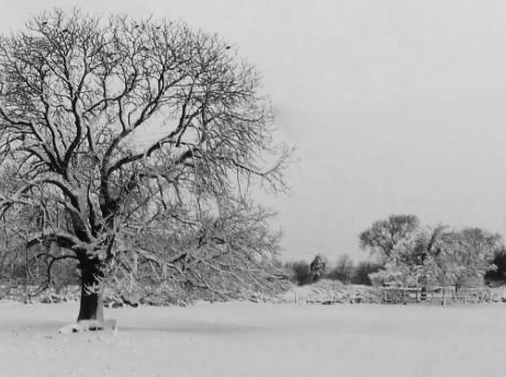 wintry scene b and w