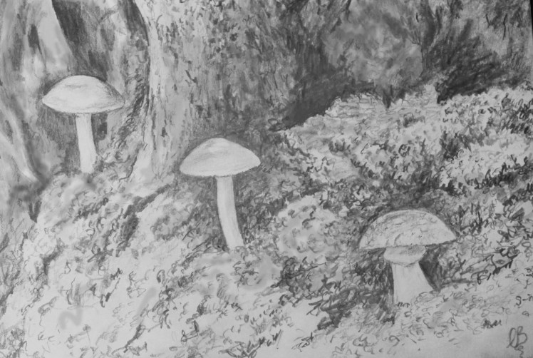 toadstool line sketch
