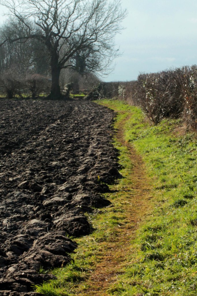 path by ploughd field2