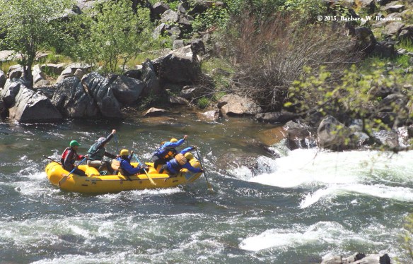 Photo Prompt - copyright Barbara W. Beacham