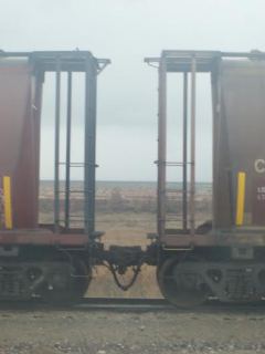 Photo Prompt - Copyright Jennifer Pendergast