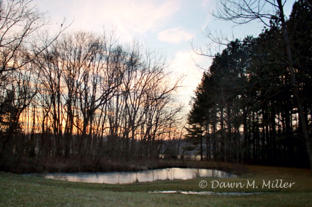 Photo Prompt: © Dawn M. Miller