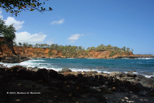 Photo Prompt: © Barabra Beacham