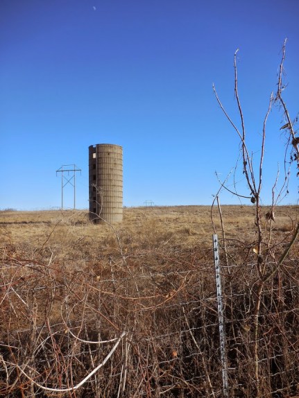 Photo prompt: © Marie Gail Stratford