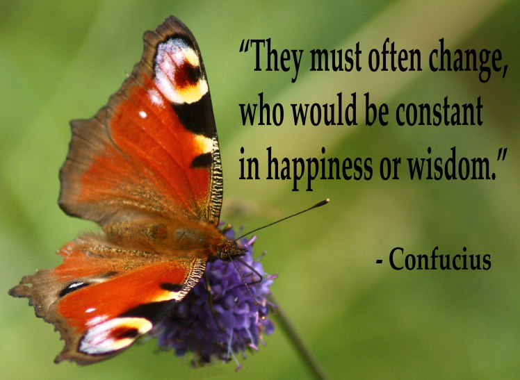 butterfly with confucius quote
