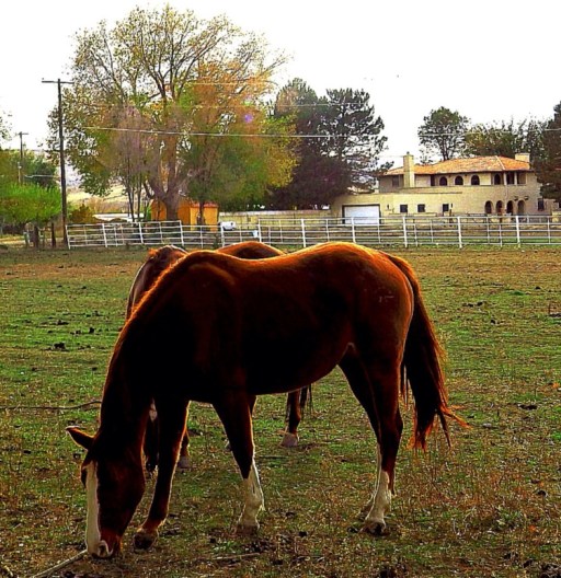 Photo Prompt: © Priceless Joy