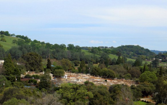 Photo Prompt: © 2015 Barbara W. Beacham