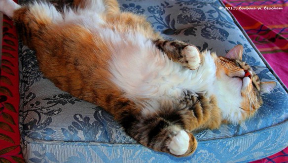 Photo Prompt: © 2015 Barbara W. Beacham