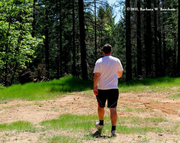 Photo Prompt: © 2015 Barbara W. Beacham