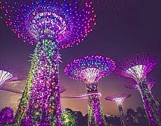 Photo Prompt - from pixabay