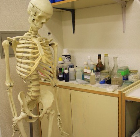 Photo prompt - from Pixabay