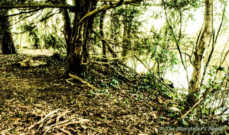 streamside camp week four 3 small