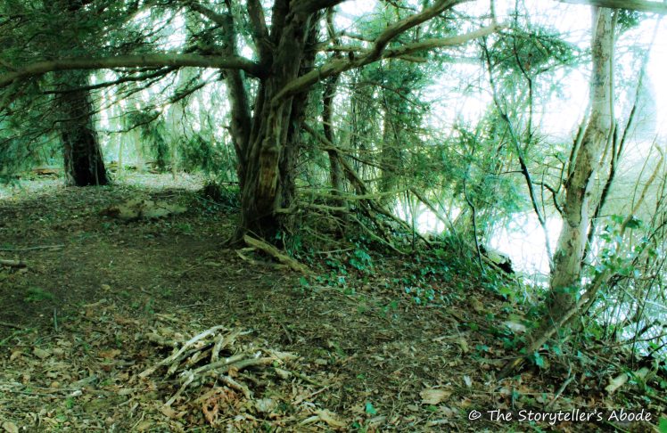 streamside camp week one small 2