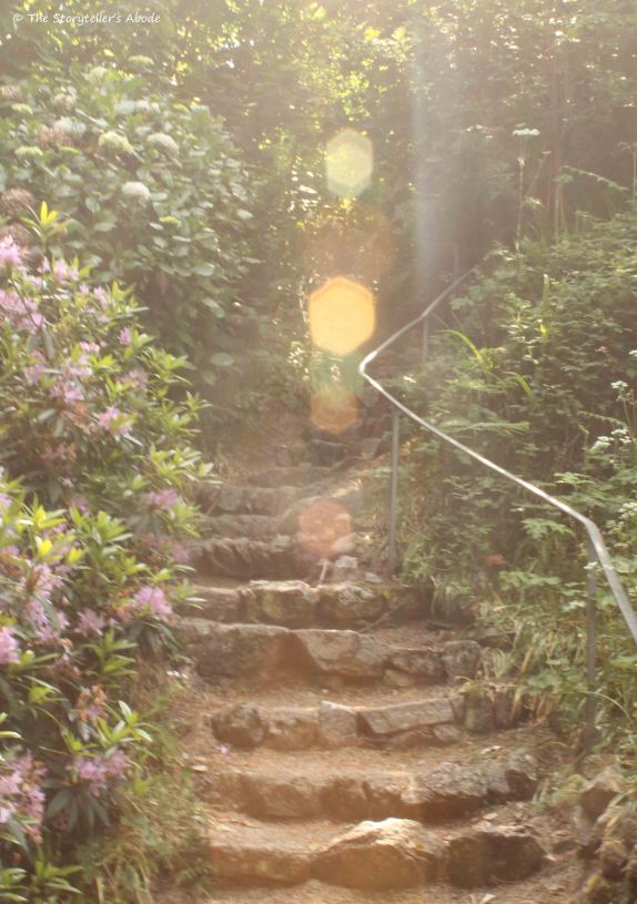 steps with sunburst.jpg