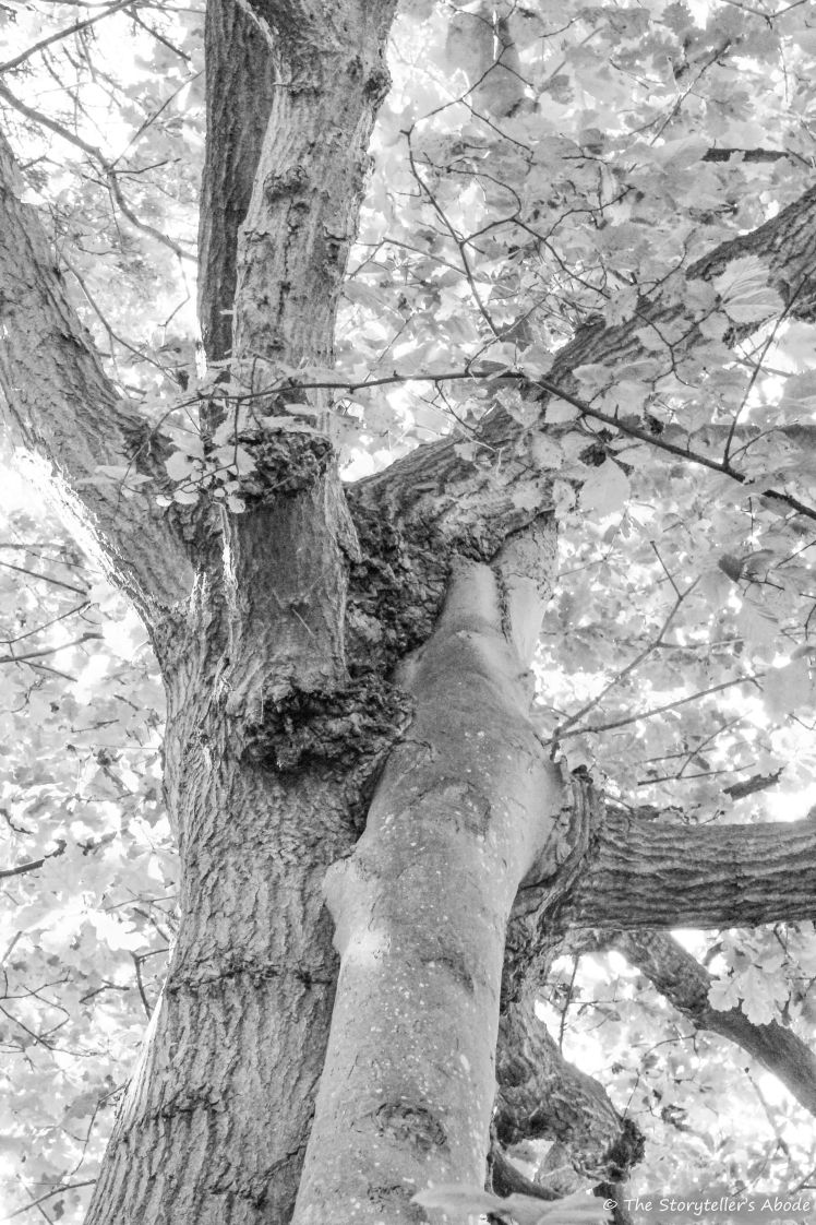 The Lovers b and w 3