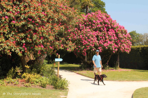 photo-20161016082435199