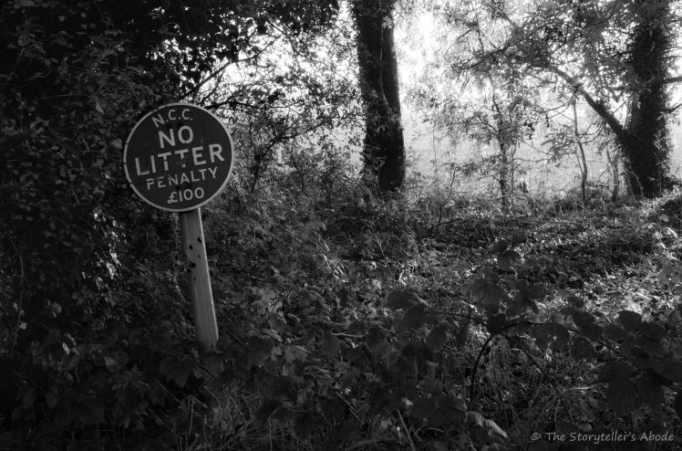 No Litter Sign 2.jpg