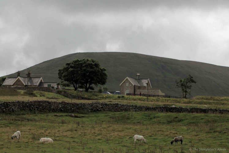 yorkshire-dales-view