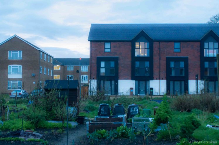 Evening over Allotments 2