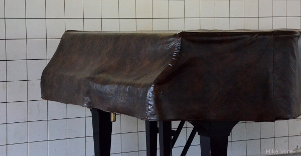 photo-20170306154630013