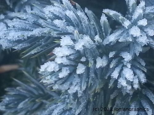 photo-20170515154640540