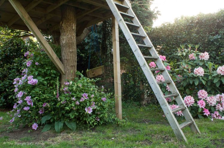 Under the Tree House