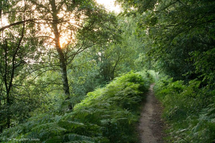 Path in golden light