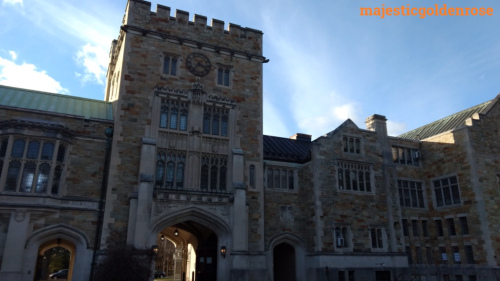 photo-20170612155836257