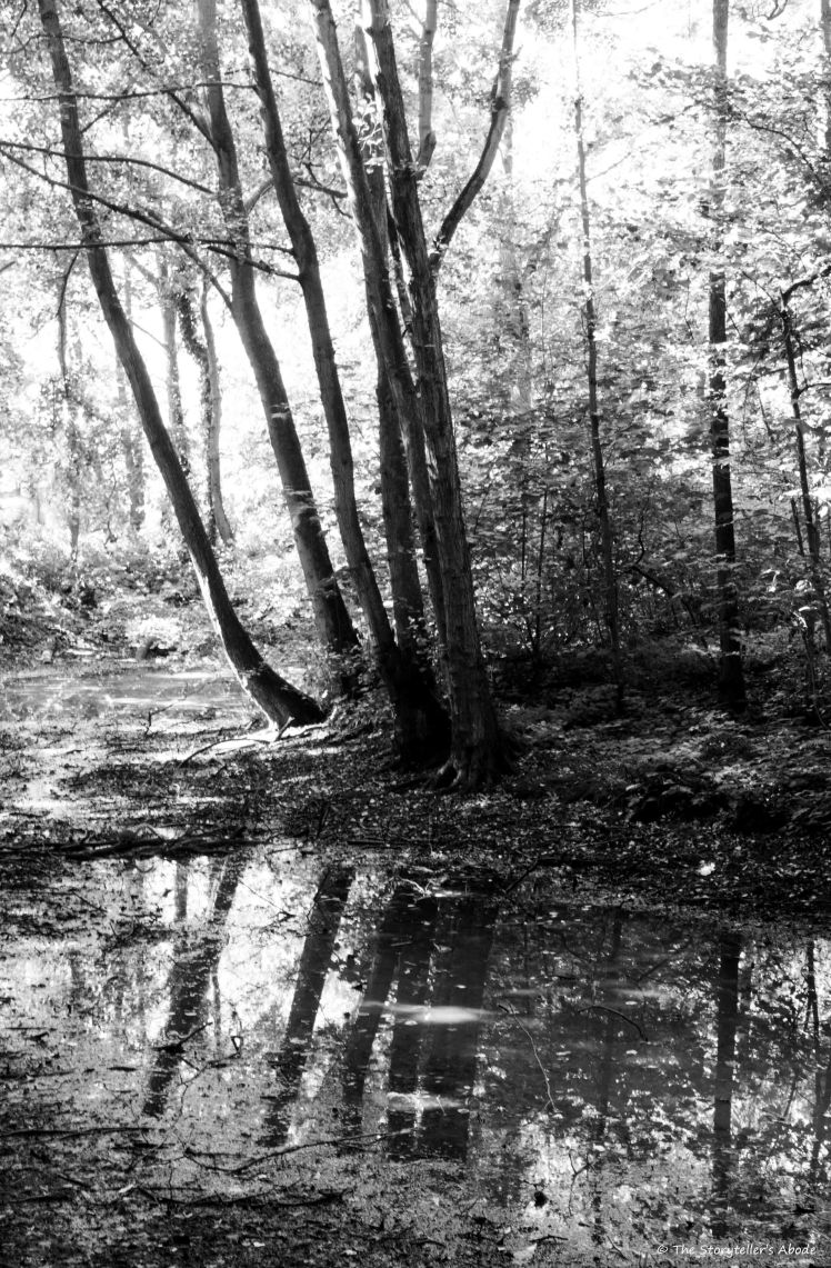 Hartsholm Stream bw