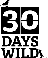 30DAYSWILD logo web small